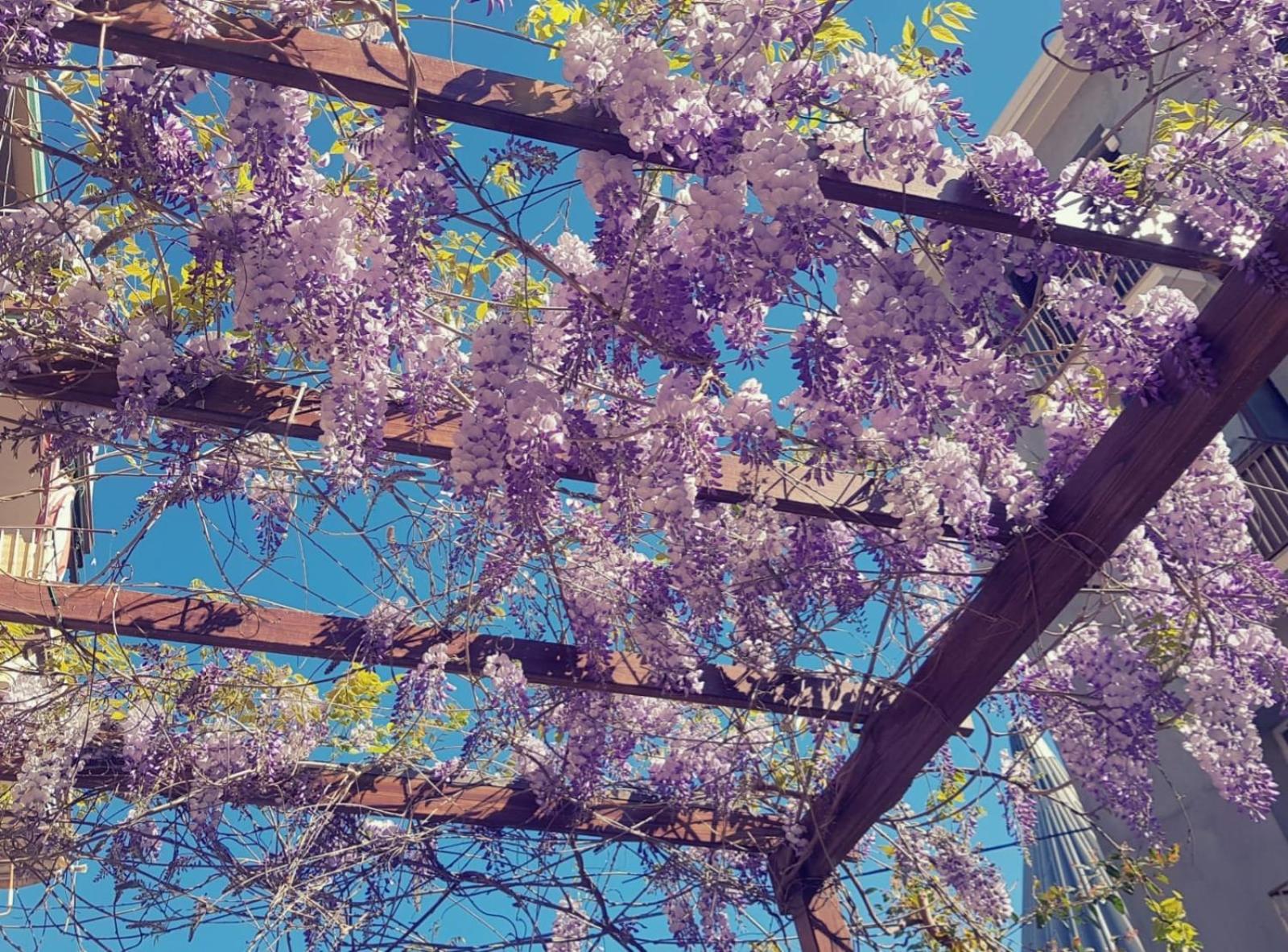 Lumia Bed And Breakfast Siraküza Dış mekan fotoğraf